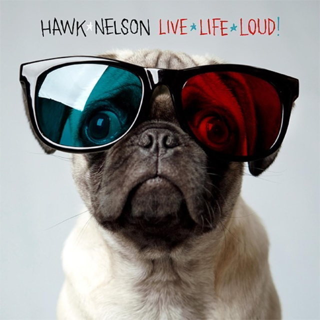 Live Life Loud 封面